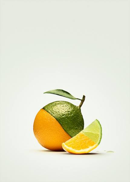 Photograph Mikkel Jul Hvilshoj Orange Lime on One Eyeland
